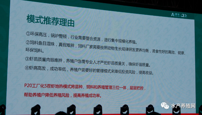 澳华总裁,澳华集团董事长许愿斌