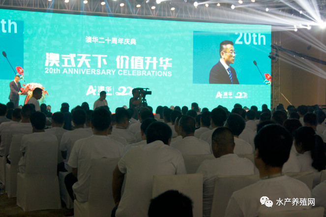 澳华总裁,澳华集团董事长许愿斌