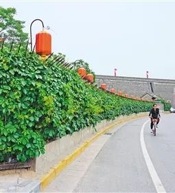 为美丽的南阳打call,为美丽西安加油