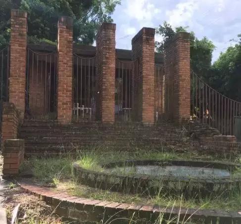 澳洲未解之谜，它又出现了！幽灵猫现，必有血案！