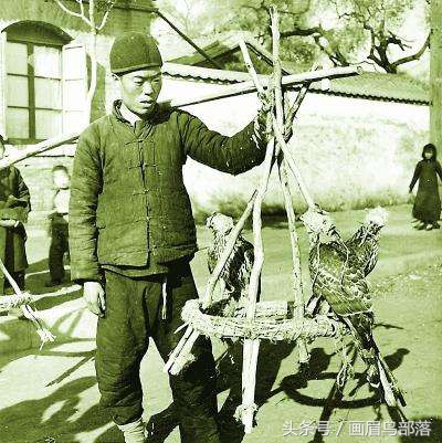 老北京鸟文化,老北京鸟的传说