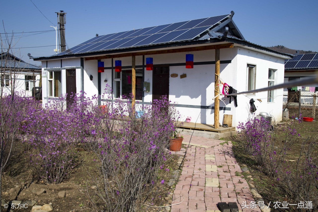 2018年6月开始，农村致富的5个好项目，农民朋友必须了解