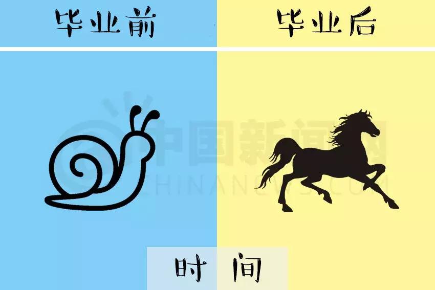 读大学和大学毕业的人生差距图,看看你毕业前后的差距有多大