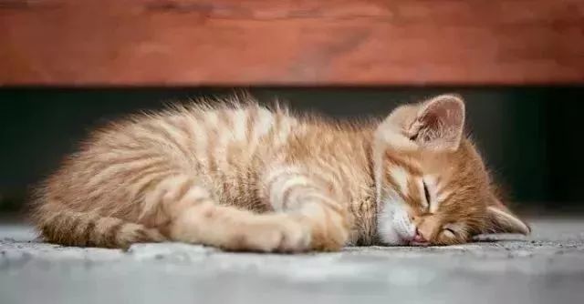 「时令」夏天午睡，起来又困又懵又烦？没做对这6件事，白睡还伤身！