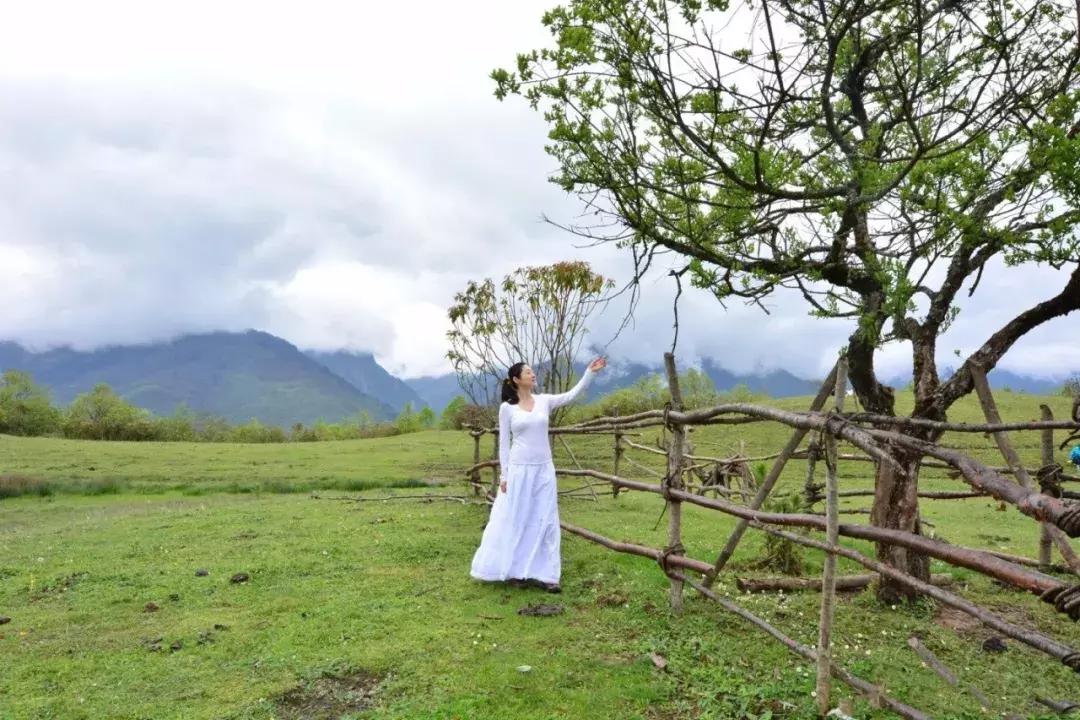 成都周边小众森林秘境,成都周边有山有水还免费的地方