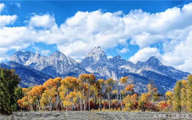 宁愿简简单单也不愿意随随便便,爱可以简简单单但不能悄无声息