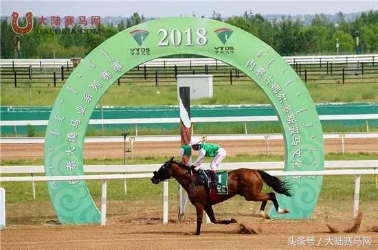 马术比赛纯血马,2018蒙古赛马传统耐力赛视频