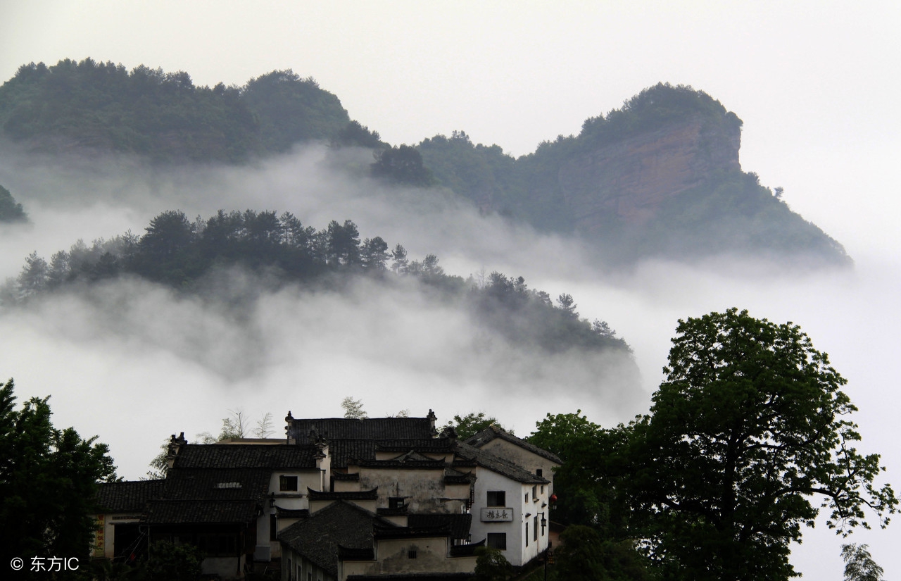 名茶六安瓜片的来历,名茶众多六安瓜片