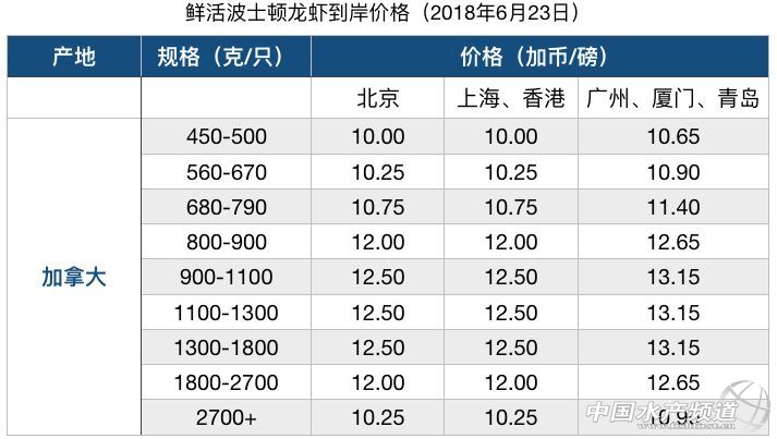 波龙行情走势,波龙价格走势最新消息