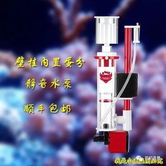 海缸方缸最合适的尺寸,超大海缸开缸教程新手入门