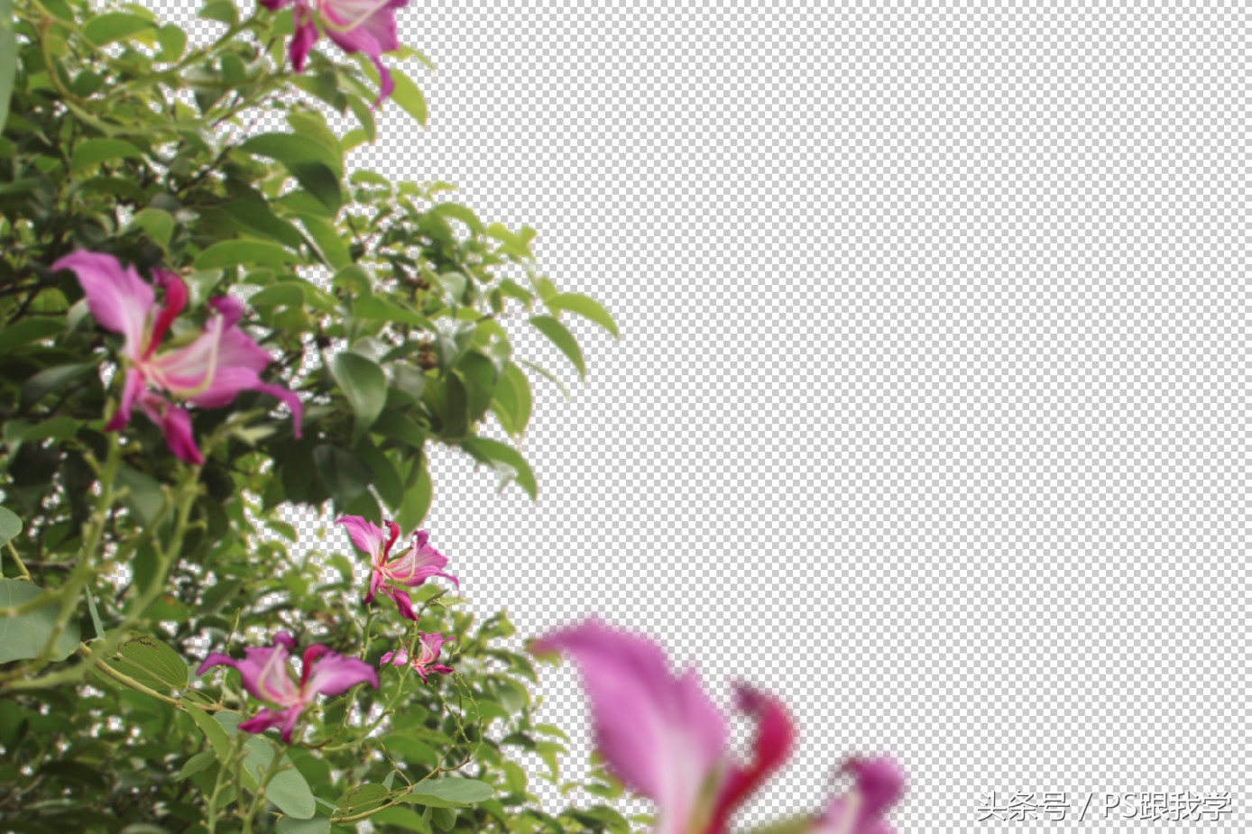 ps拼贴景观效果图教程,ps做景观效果图的步骤方法