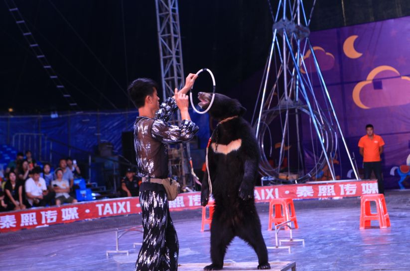 这个夏天只想“凉凉”！躲避炎热无需空调，快来曲江撒个欢儿~