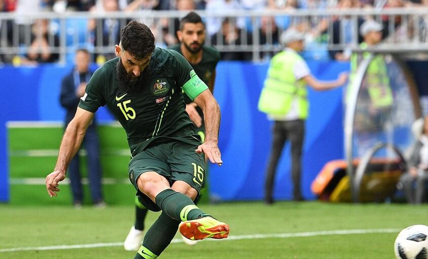 2022年世界杯冠军,wtt世界杯历届冠军