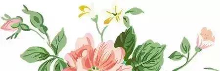 「乐乐女子图鉴」6块软妹币？你没看错，东京就该这么买！（上）