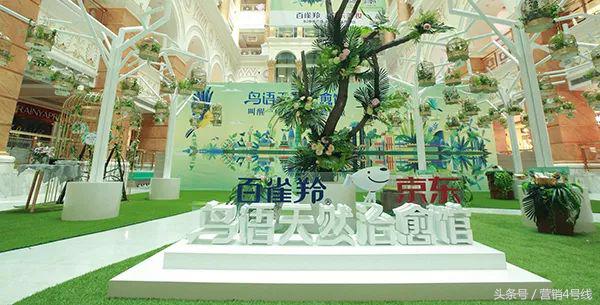 世界杯文案2026,世界杯文案20182022