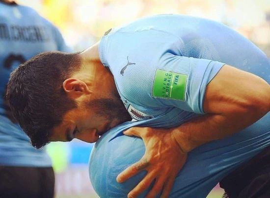 世界杯德国最美太太团,世界杯四强最美太太