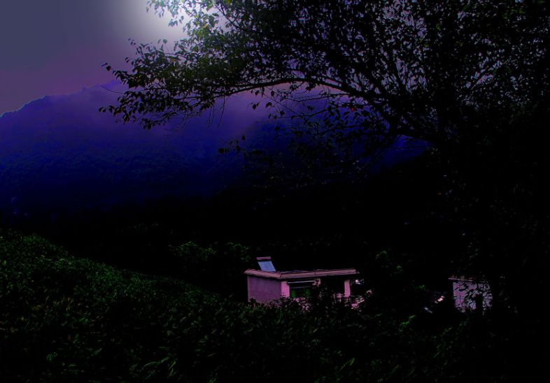 管恩锋十首经典歌曲,管恩锋