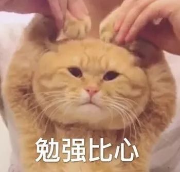 佛山查获假冒化妆品案件,香港假化妆品是真的吗