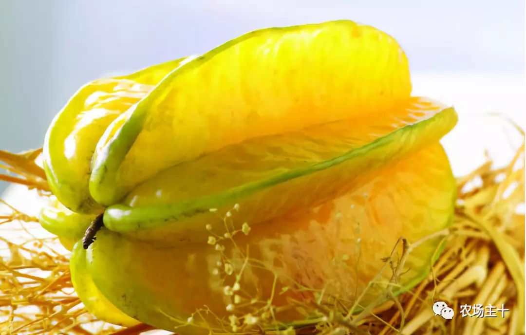 我想在农村建个冷库有前景吗,想在农村建个冷库