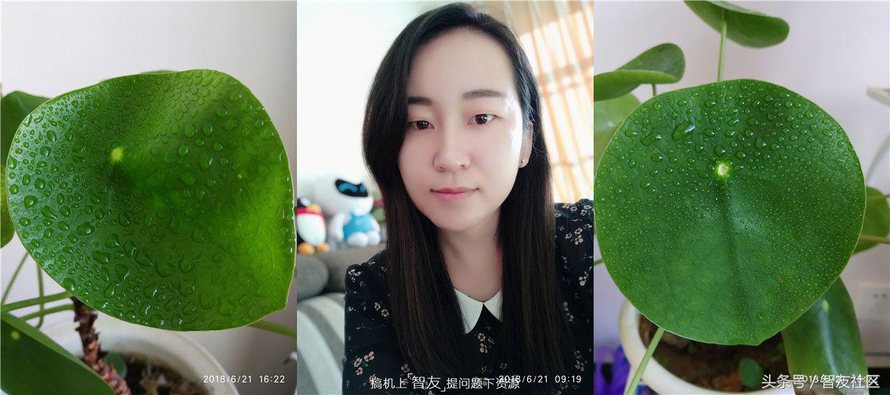 红米s2参数,红米s2评分