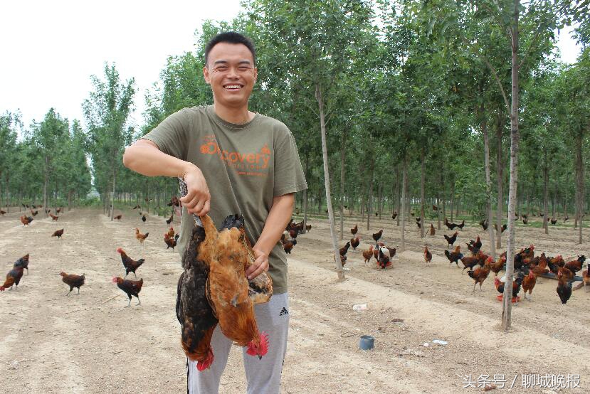 聊城人朋友圈里有个忙着卖鸡的第一书记