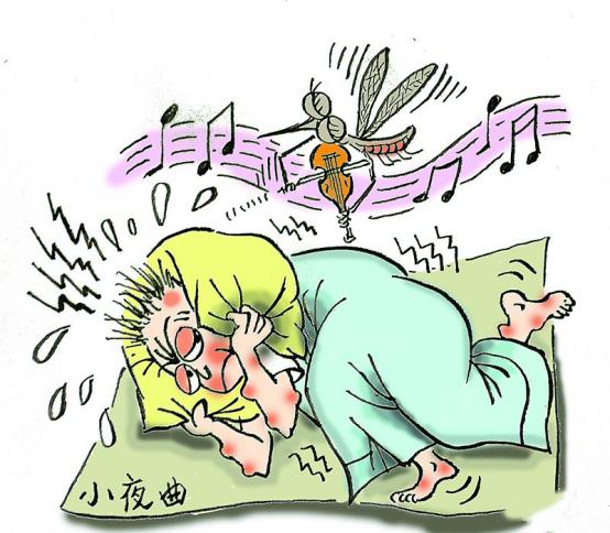 哪个血型最不容易招蚊子,哪种血型易招蚊子