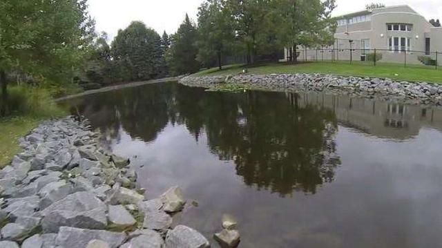 乔丹豪宅半价出售没人买？1平米折合人民币不到两万，买房还送鞋