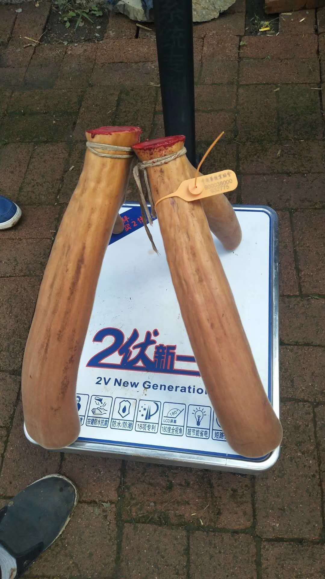 鹿茸的骗局,鹿茸真的像网上说的那么好吗