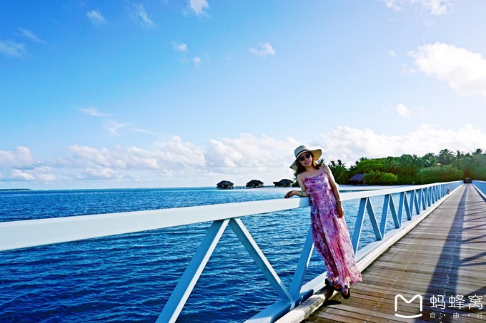 马尔代夫蝴蝶岛,马尔代夫港丽岛属于几星岛