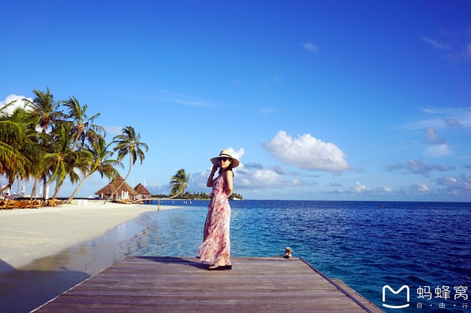 马尔代夫蝴蝶岛,马尔代夫港丽岛属于几星岛