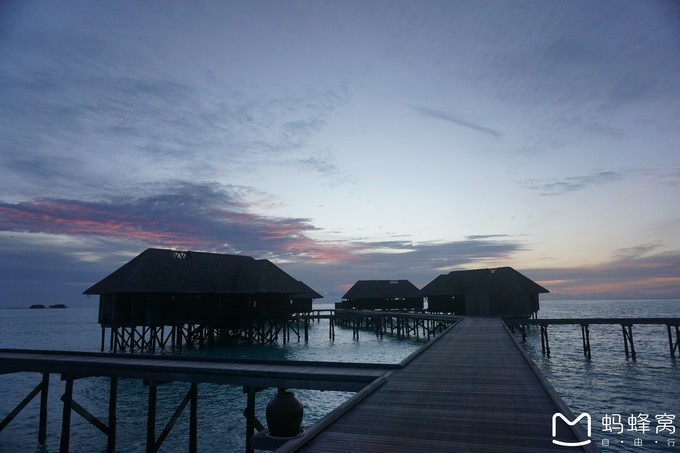 马尔代夫蝴蝶岛,马尔代夫港丽岛属于几星岛