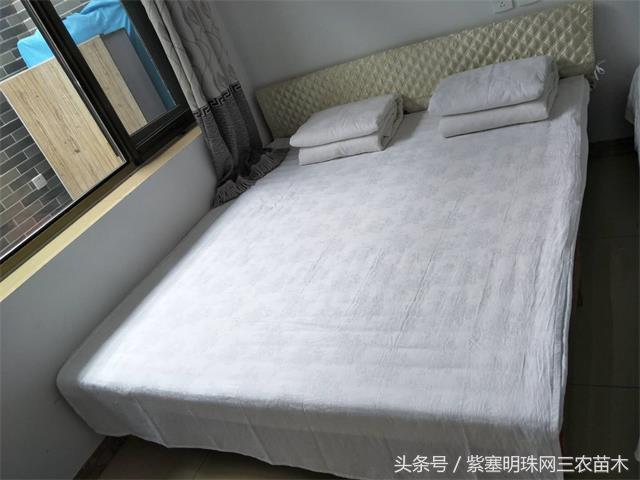 梨木台古树农家院,蓟县梨木台兴业缘农家院