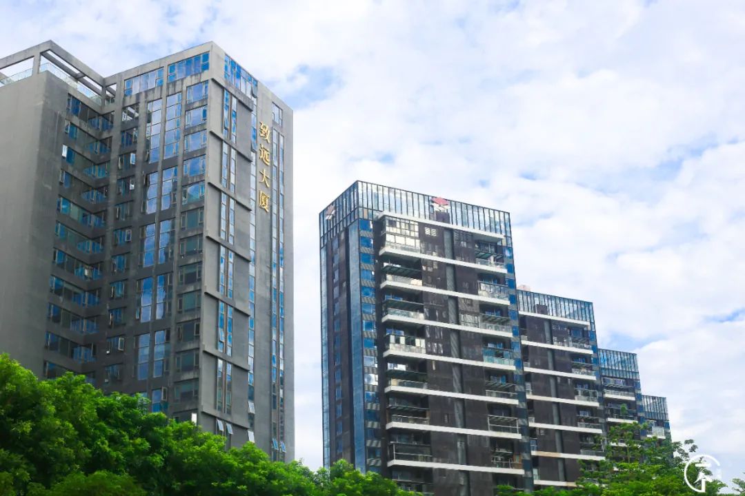 测评深圳湾,我直接被房租劝退