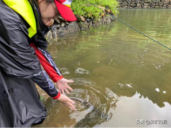 皮尔钓具旗舰店阿布,皮尔钓具赛事通知