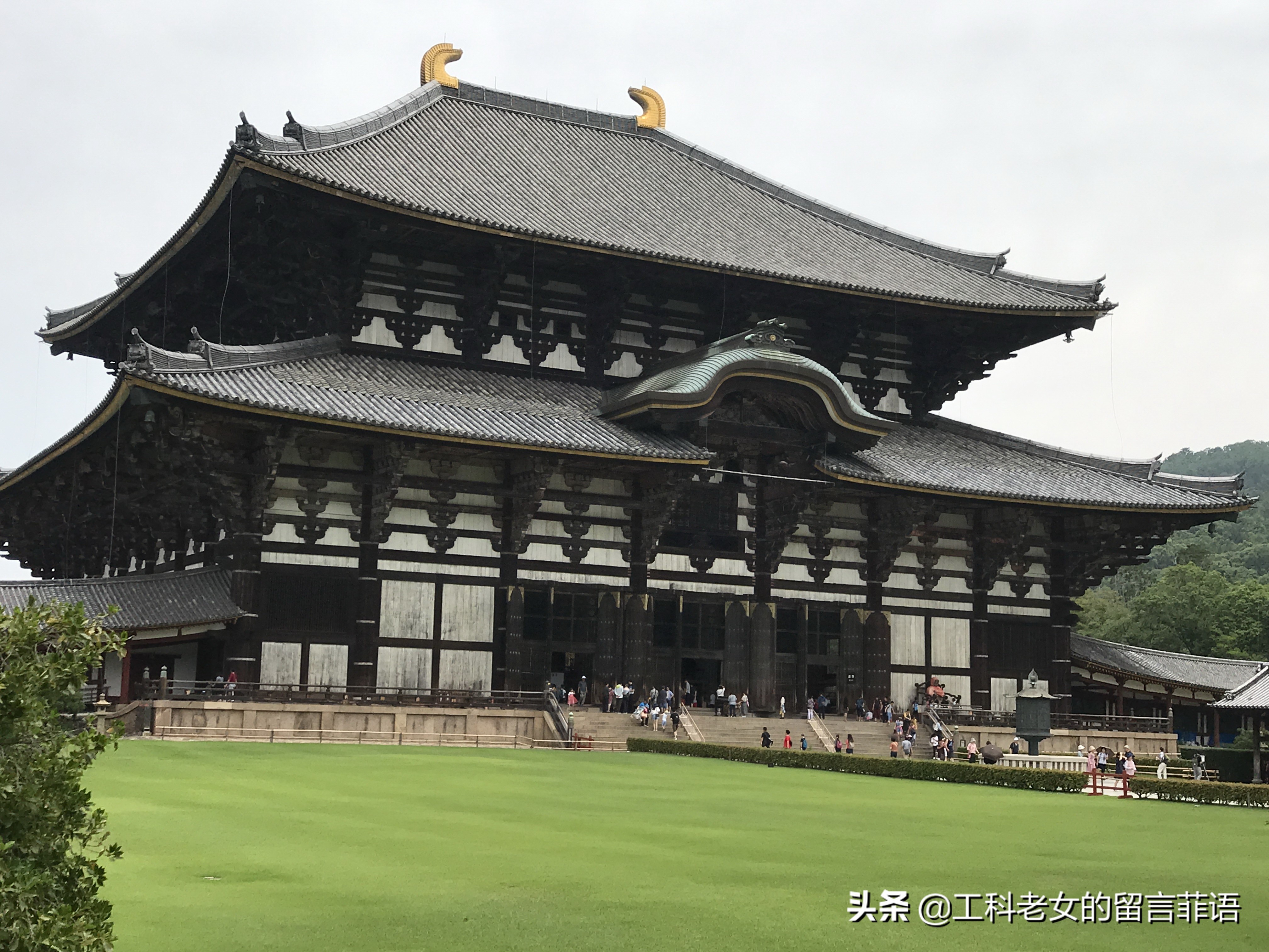 奈良东大寺大佛殿和太和殿,奈良东大寺位置地图图片