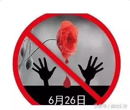 青少年远离毒品禁毒安全教育,远离毒品争做防毒拒毒小卫士