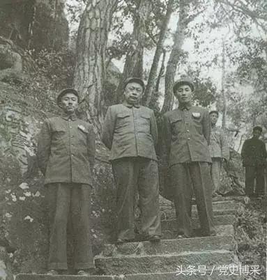 金门战役直接指挥官是谁,上将王必成沈振新电视剧