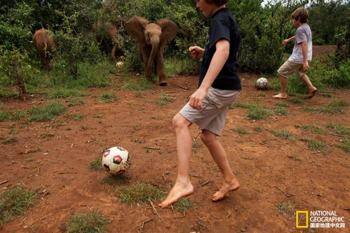 世界足坛经典老照片,50-60年代足球队老照片