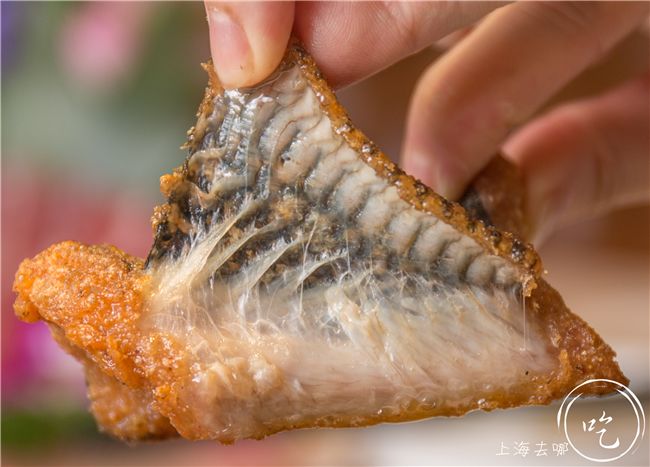 开了23年的黑料界大佬疯了！YSL、TF、Dior大牌口红免费抓！