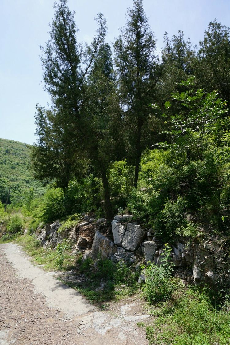 天晴湾风景区,淄川天晴湾