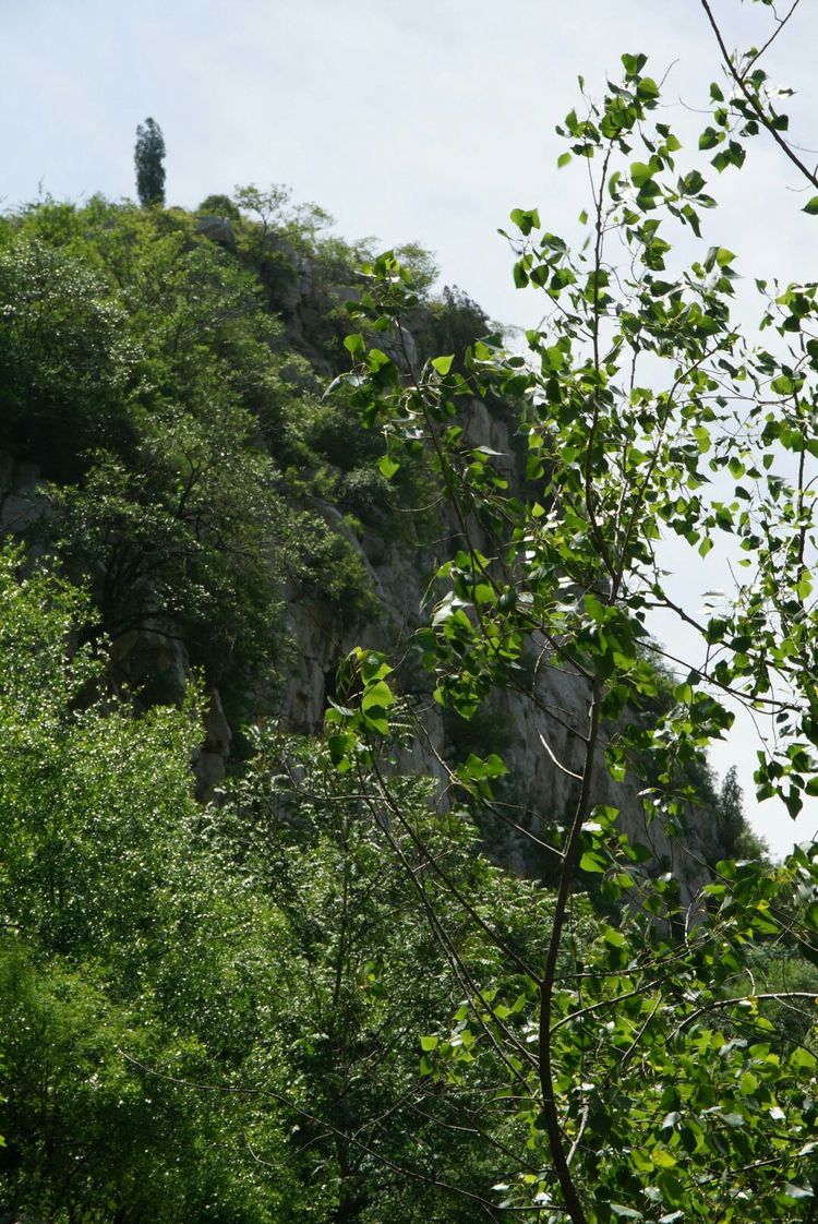 天晴湾风景区,淄川天晴湾