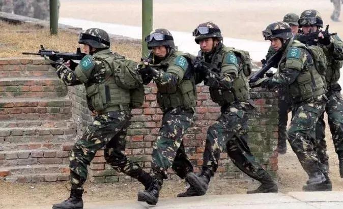 中国特警最新突击步枪,中国特警用的突击步枪