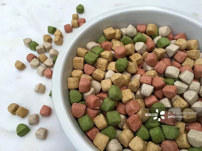 女留学生回国创业,女留学生回国后开微店