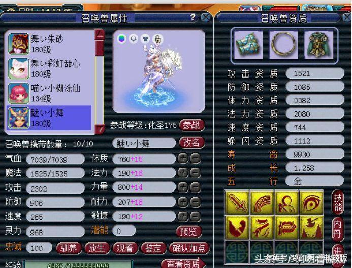 梦幻西游全服稀有神宠,梦幻西游平民神宠排行榜