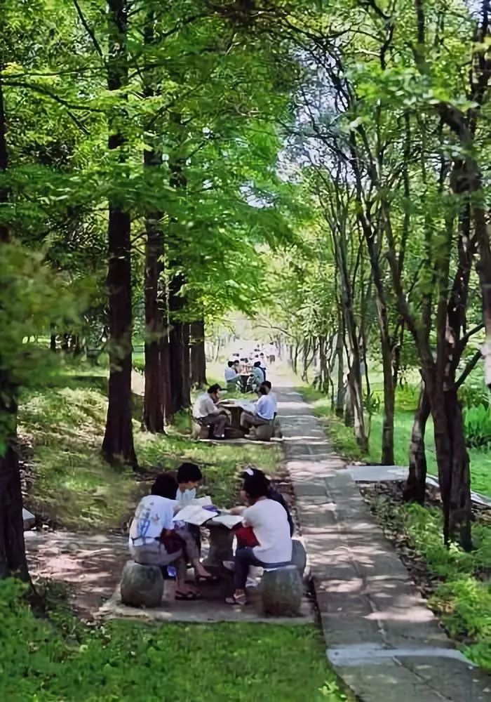 华中科技大学崛起,华中科技大学发家史