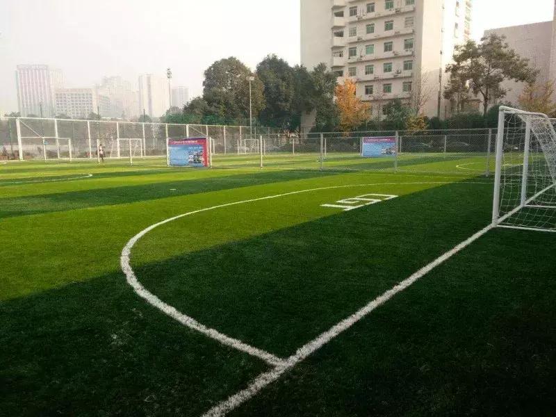 窝家里看世界杯,窝在家看世界杯视频