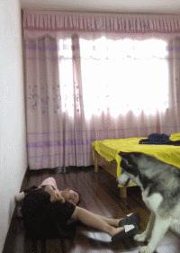 狗狗吃东西中毒症状,狗狗吃东西中毒要多久