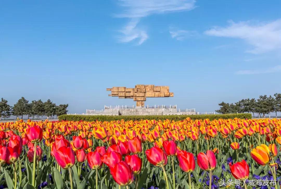 威海一个非常宜居的城市,威海是一个包容性很强的城市