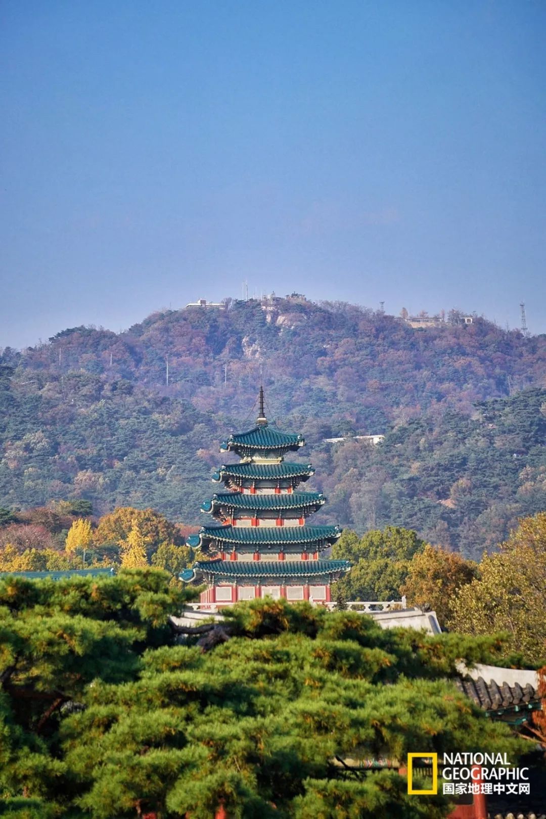 韩国足球的犯规艺术,韩国踢足球犯规现场