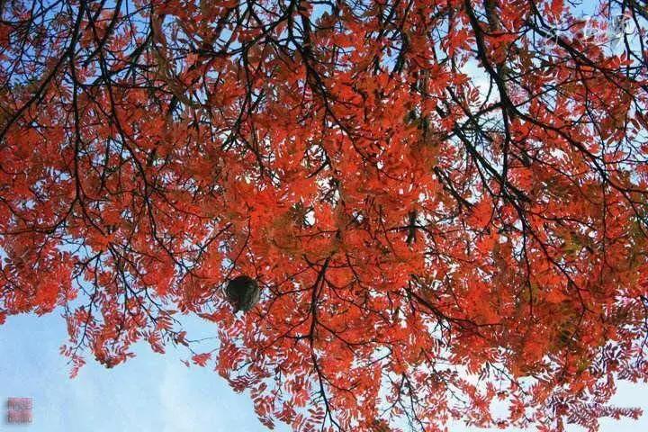 醉美临汾城,临汾最值得一看的地方